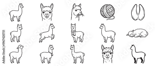 Collection of various black outline alpaca illustrations, including full body poses, headshots, and related items, presented in a clean graphic style