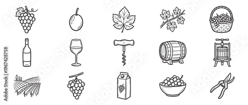 Collection of fifteen hand-drawn black and white icons representing various elements of winemaking and grape cultivation, presented in a clean, illustrative style