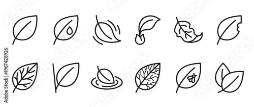 Collection of simple black outline leaf icons depicting various states and interactions, presented clearly
