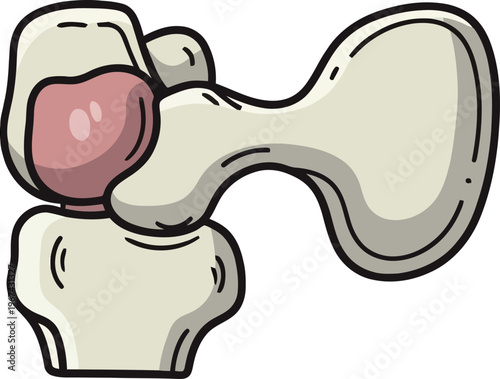 Anatomical human joint illustration, medical bone structure vector, orthopedic health diagram for educational healthcare infographics