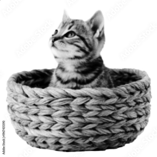 Cute Cat in Basket Halftone Style, Black and White Kitten Portrait, Cozy Pet Animal Image