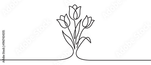 Continuous line drawing of three elegant tulip flowers with stems and leaves, rendered in a minimalist black outline style