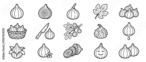 Collection of black and white line art illustrations depicting various fig forms, including whole, sliced, on a branch, and in a basket