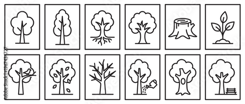 Collection of twelve simple black outline tree icons depicting various stages of growth and environmental interactions