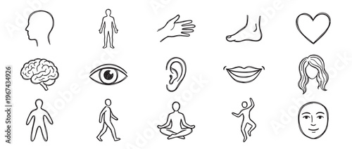 Collection of hand-drawn human body parts and figures, including a head, brain, eye, ear, mouth, hand, foot, and full body outlines, presented as simple black and white sketches