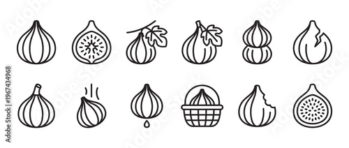 Collection of various fig fruit line icons, including whole, cut, bitten, and on a branch, presented in a clean, minimalist style