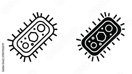 Illustration of two stylized bacteria with contrasting visual styles