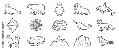 Collection of fifteen black and white line art illustrations depicting various arctic animals and elements