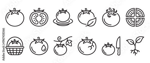 Collection of black outline tomato icons depicting whole, sliced, and various states of the vegetable