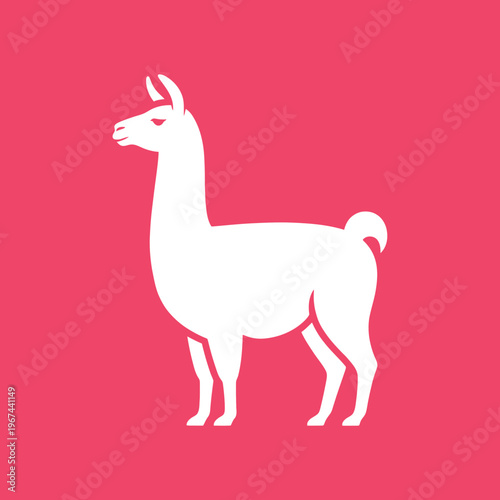 White llama silhouette stands proudly against a vibrant pink backdrop simple and elegant.