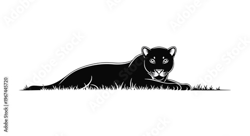Photography Black panther lying in the grass