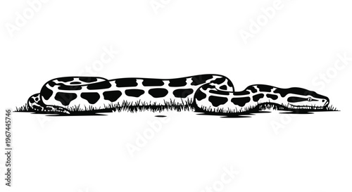 Foto Black and white illustration of a large python snake resting in the grass