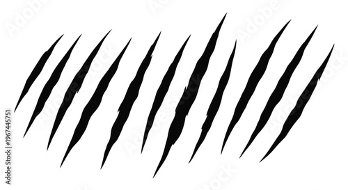 Set of claw marks