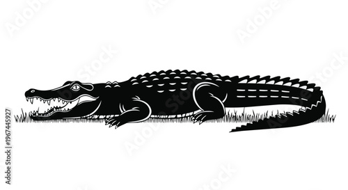 Black and white illustration of a crocodile