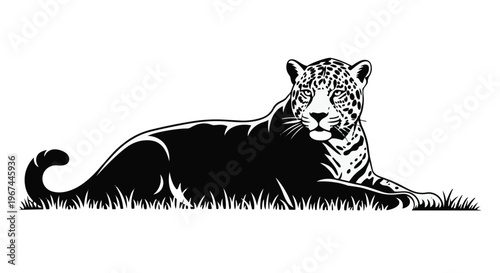 Jaguar lying in grass, black and white vector illustration