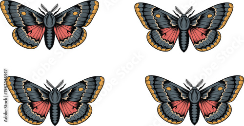 Professional high quality lifestyle photography featuring modern aesthetic concepts for commercial advertising marketing social media digital content and creative branding,