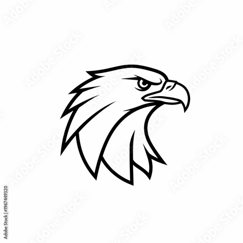 Intense eagle head profile with sharp gaze and focused expression.