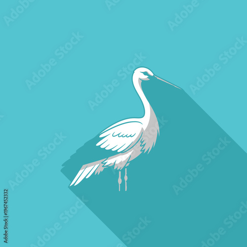 Elegant white heron bird standing gracefully with long neck and beak isolated.