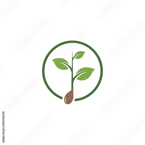 Green plant sprouting from seed inside a circular frame nature concept.