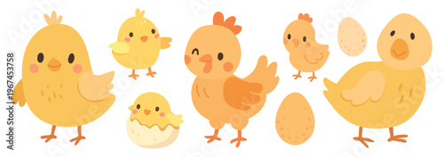 vector illustration isolated for baby chicken cartoon and animal cute design easter nature farm for bird spring vector and character background egg vector chick set for baby yellow illustration