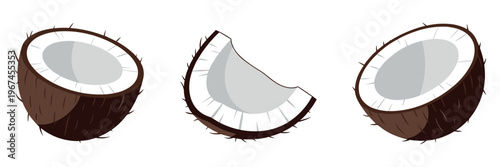 Coconut halves and wedge pieces positioned on white background