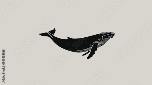 A black and white illustration of a humpback whale, swimming in neutral colored water
