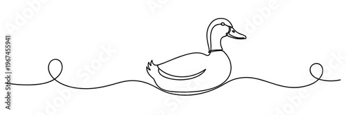 Mallard duck floating on water in continuous line drawing, none editable strokes
