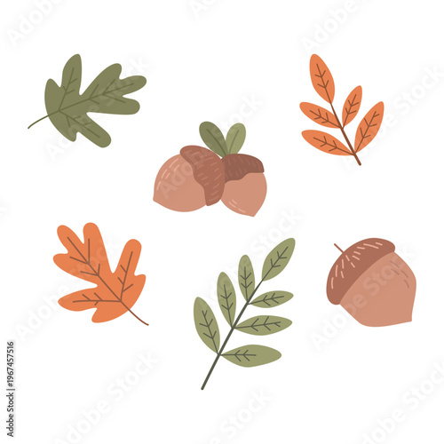 assorted autumn leaves and acorn groups in vector style isolated on white background