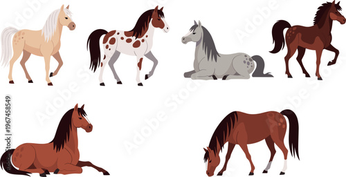 Collection of Different Horses in Various Poses and Colors, Hand-drawn Horse Illustrations for Animal and Farm Designs