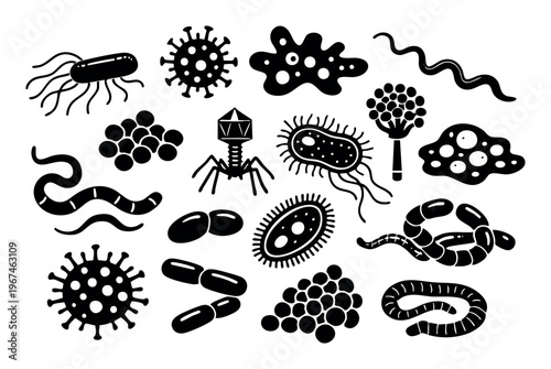 Various microorganisms like bacteria, viruses, and fungi depicting harmful germs, microbes, and pathogens
