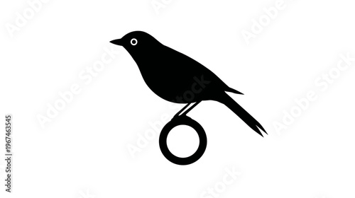 A silhouette of a black bird perched on a unique ring-shaped base. It has a white eye