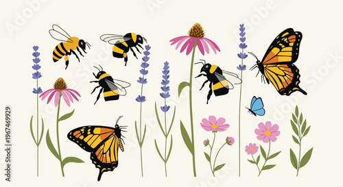 Pollinating insects flying among colorful garden flowers. Bees and butterflies collect nectar from lavender, echinacea, cosmos blooms, creating natural ecosystem.