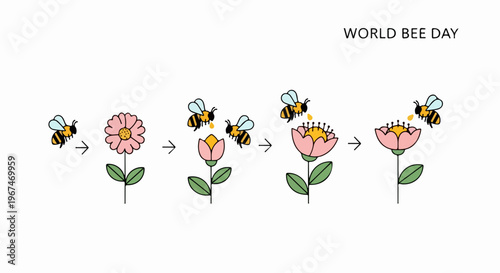 Bees pollinating flowers graphic, illustrating nature's vital cycle for World Bee Day. Stages show bees interacting with blossoms, highlighting importance for World Bee Day.