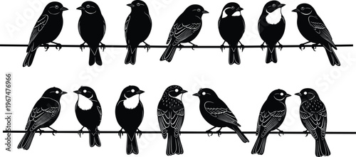 Collection of black bird silhouettes perched on wires featuring diverse species and poses isolated on white background for nature and wildlife design projects