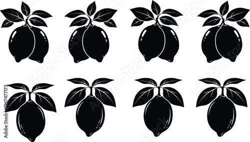 Collection of lemon silhouettes with leaves featuring single and double fruit clusters isolated on white background for food and organic beverage design