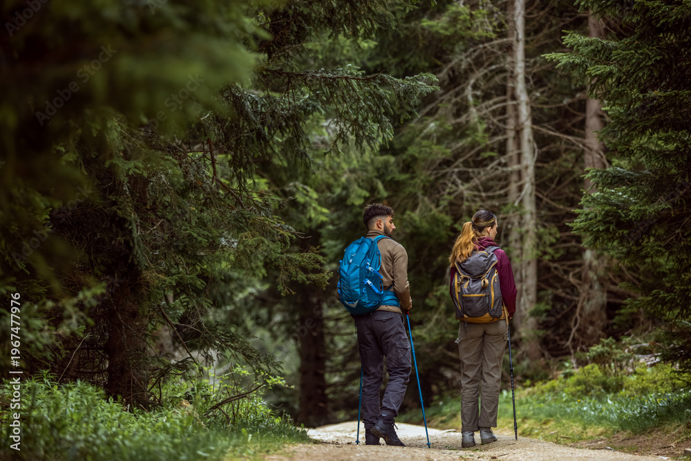 Fototapeta premium Rear view of a couple with backpacks and walking poles hiking through a dense forest.