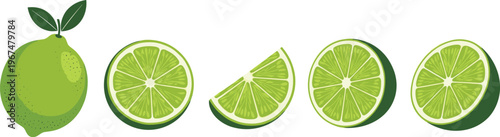 Lime fruit set with whole citrus, slices and wedges, fresh green lemon vector illustration collection isolated on background