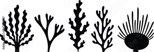 Sea coral silhouette set with underwater reef elements, marine plant shapes in black, ocean vector illustration collection