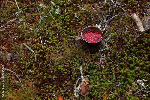 Hiking mug of tea with cranberries in the forest