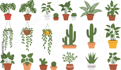 Indoor potted plant collection with various houseplants, succulents, cacti, and hanging greenery, decorative botanical illustration set isolated on white background