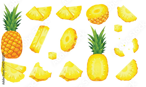 Realistic Pineapple Fruit Illustration Set with Whole Pineapple, Slices, and Chunks Isolated on White