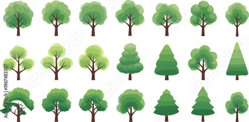 Green tree collection with different deciduous and coniferous forest species, vector illustration set of natural landscape elements isolated on white background