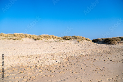 Serene sandy landscapes gently flowing under broad azure sky on horizon