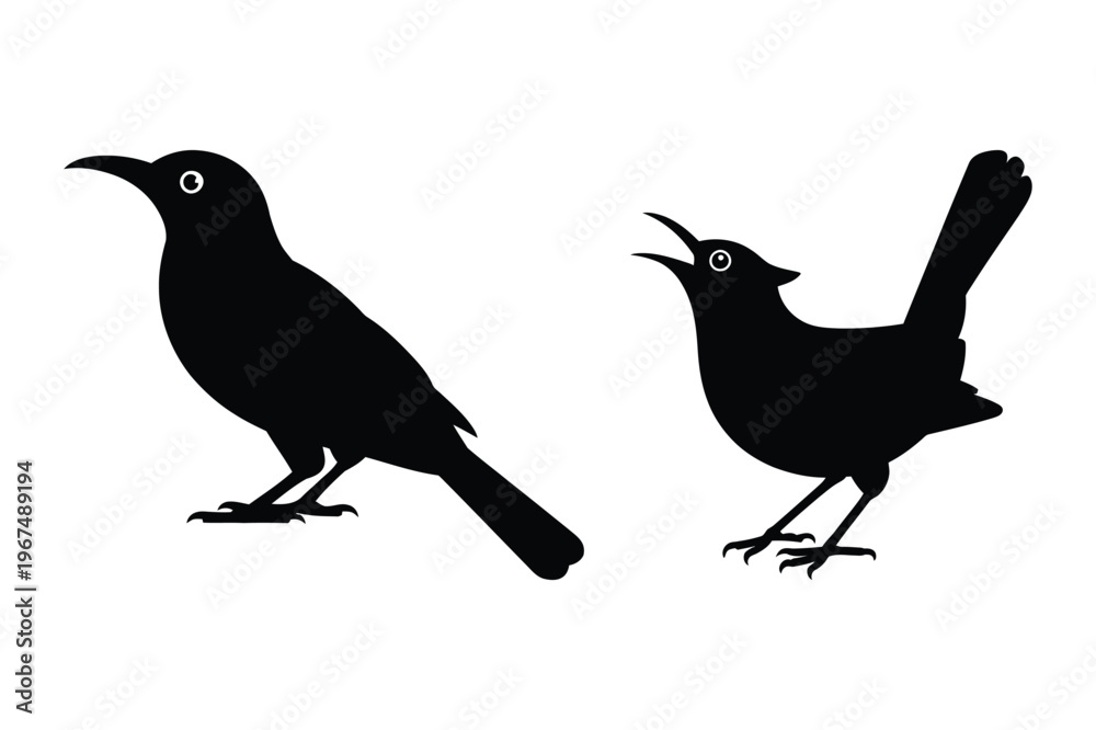 Obraz premium Bird silhouettes