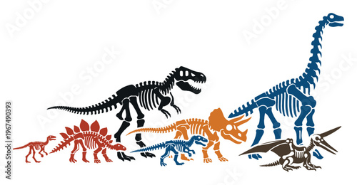 Dinosaur skeletons and fossils presenting different prehistoric animals like T-Rex, Triceratops, Stegosaurus, Brachiosaurus, Pterodactyl