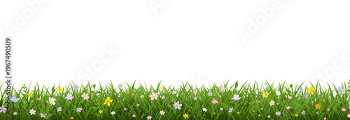 Grass Border And Flowers Isolated White Background