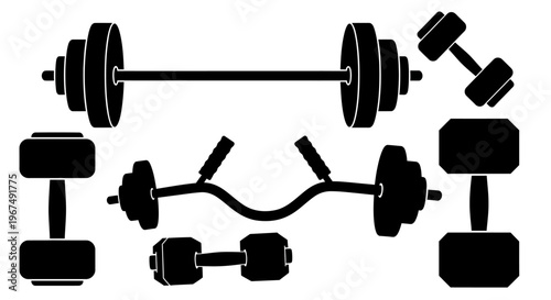 Collection of various gym weights and barbells for strength training.