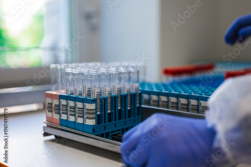 Wallpaper Mural Meticulous Management Of Laboratory Samples For Accurate Diagnostic Testing During Health Emergencies Torontodigital.ca