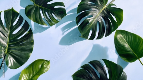 Leaves Scattered on a Light Background Create a Simple Natural Display