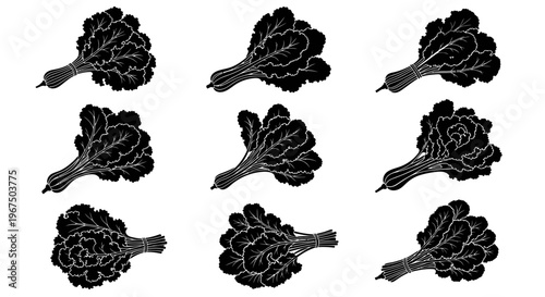 Set of black cauliflower illustrations on white background vegetables in various orientations